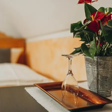 Neukirchner Hof Bed & Breakfast Neukirchen Bei Sulzbach-Rosenberg