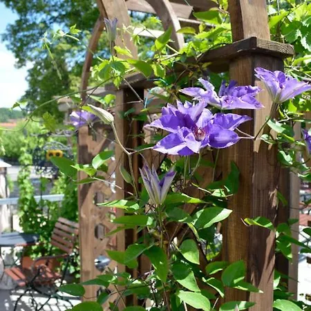 Neukirchner Hof 3* Neukirchen Bei Sulzbach-Rosenberg
