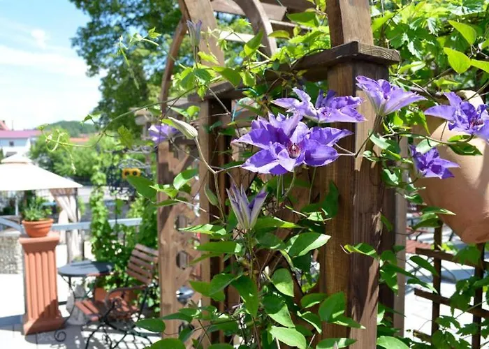 Neukirchner Hof 3* Neukirchen Bei Sulzbach-Rosenberg